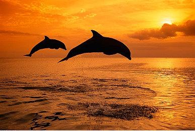 《Rack and Slay》登陆Steam 撞球肉鸽地牢探险